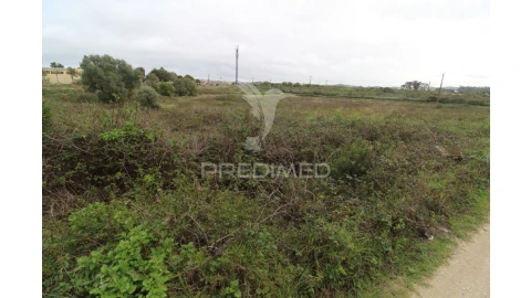 Terreno para Venda em Santa Maria e São Miguel, São Martinho, São Pedro Penaferrim