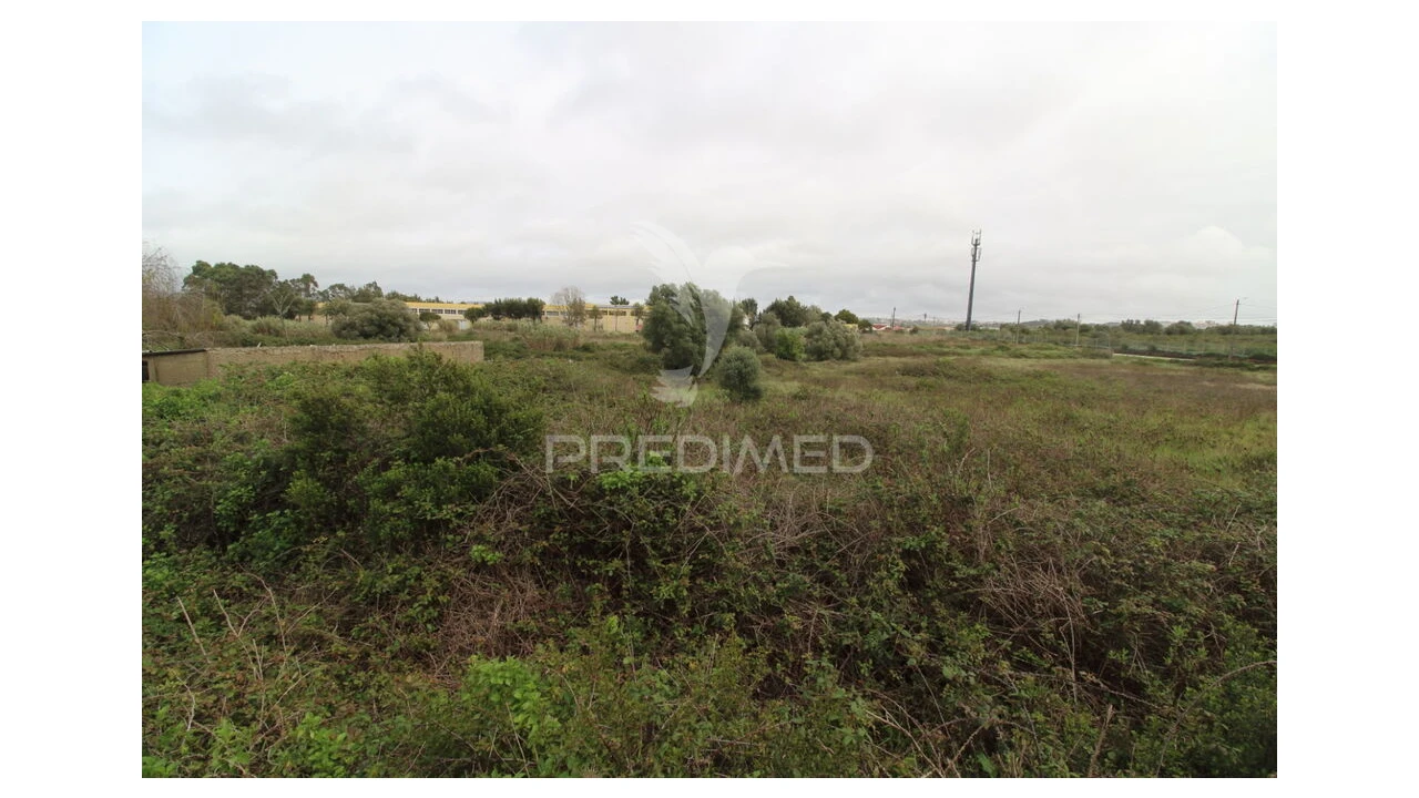 Terreno para Venda em Santa Maria e São Miguel, São Martinho, São Pedro Penaferrim Foto 5