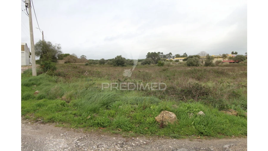 Terreno para Venda em Santa Maria e São Miguel, São Martinho, São Pedro Penaferrim Foto 10