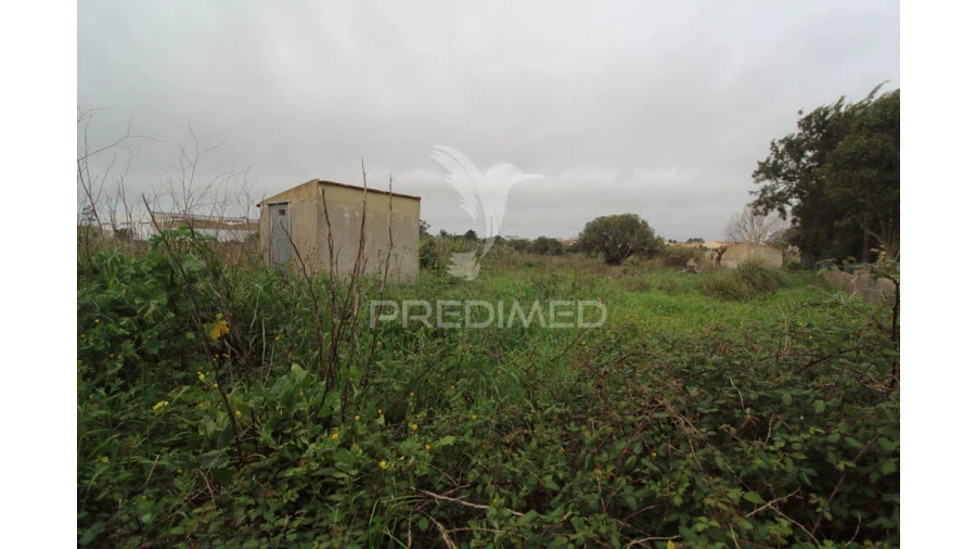 Terreno para Venda em Santa Maria e São Miguel, São Martinho, São Pedro Penaferrim Foto 7