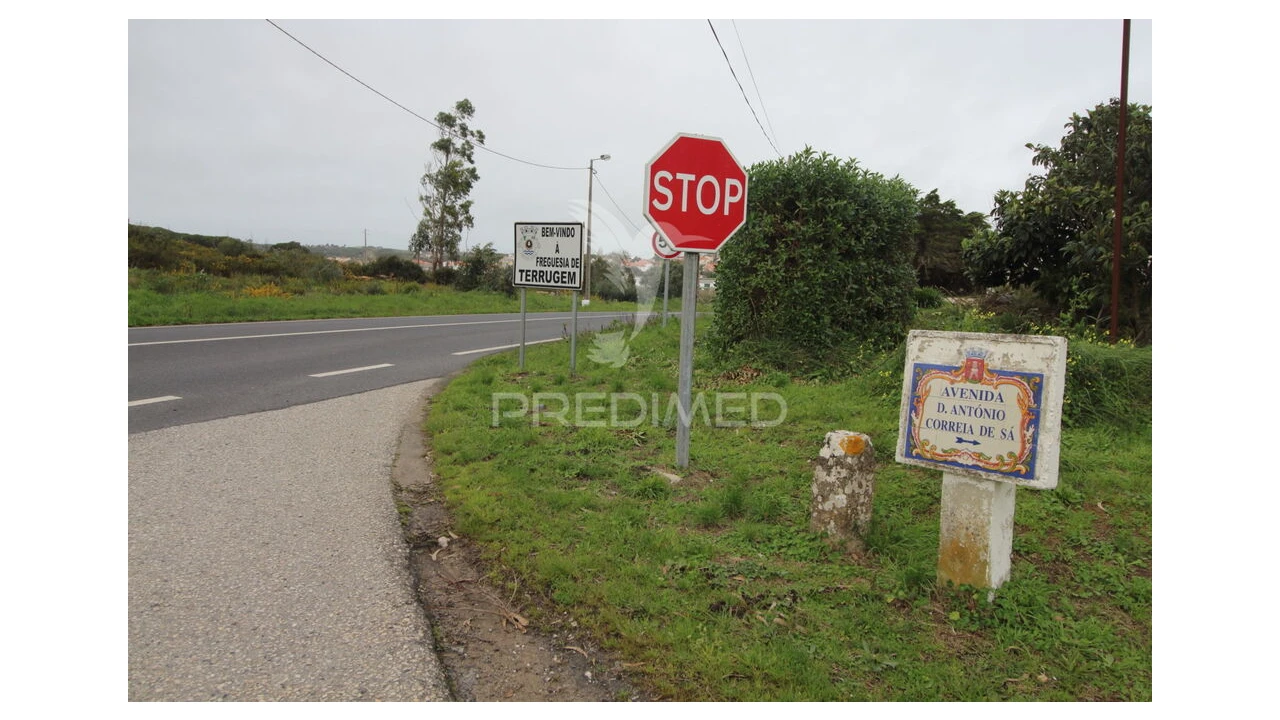 Terreno para Venda em Santa Maria e São Miguel, São Martinho, São Pedro Penaferrim Foto 9