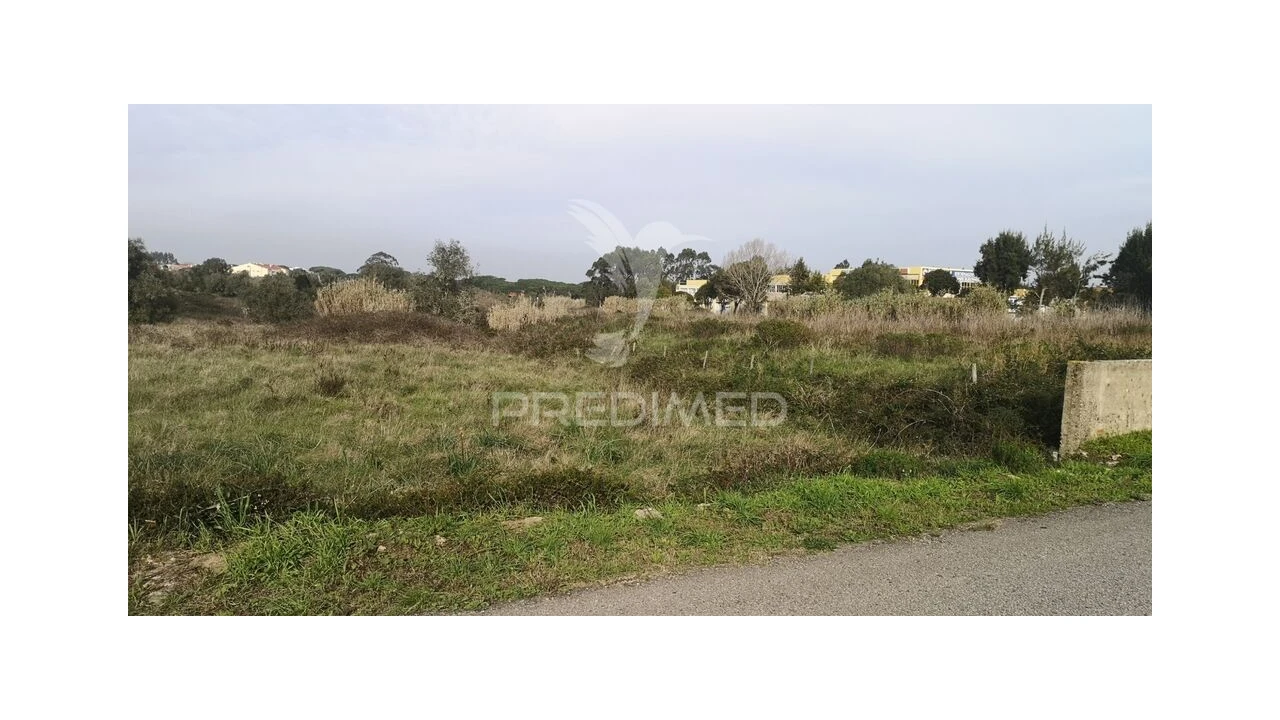 Terreno para Venda em Santa Maria e São Miguel, São Martinho, São Pedro Penaferrim Foto 2