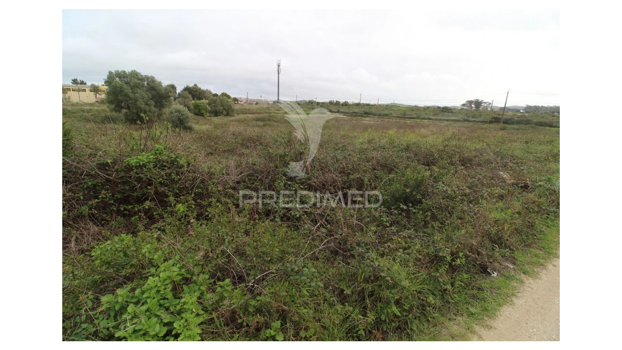 Terreno para Venda em Santa Maria e São Miguel, São Martinho, São Pedro Penaferrim Foto 4
