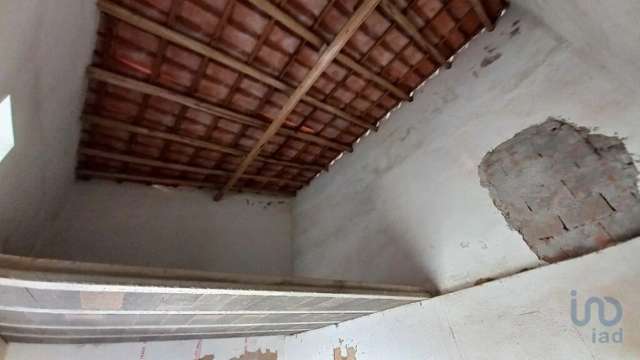 Loja para Venda em Loule (São Sebastião) Foto 4