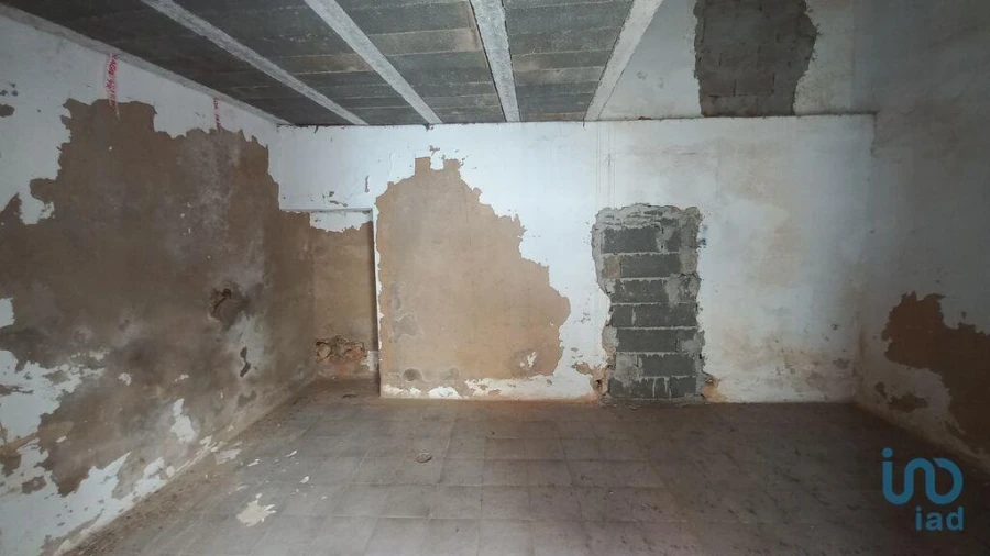 Loja para Venda em Loule (São Sebastião) Foto 2