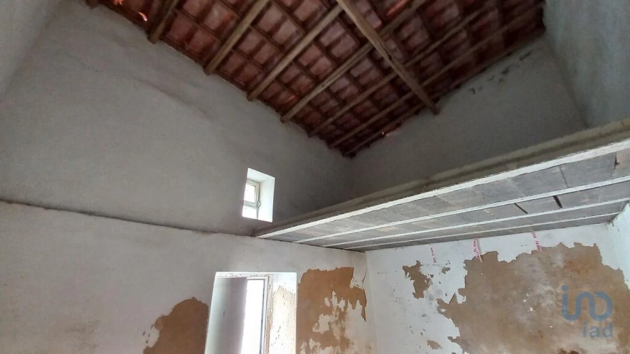 Loja para Venda em Loule (São Sebastião) Foto 5