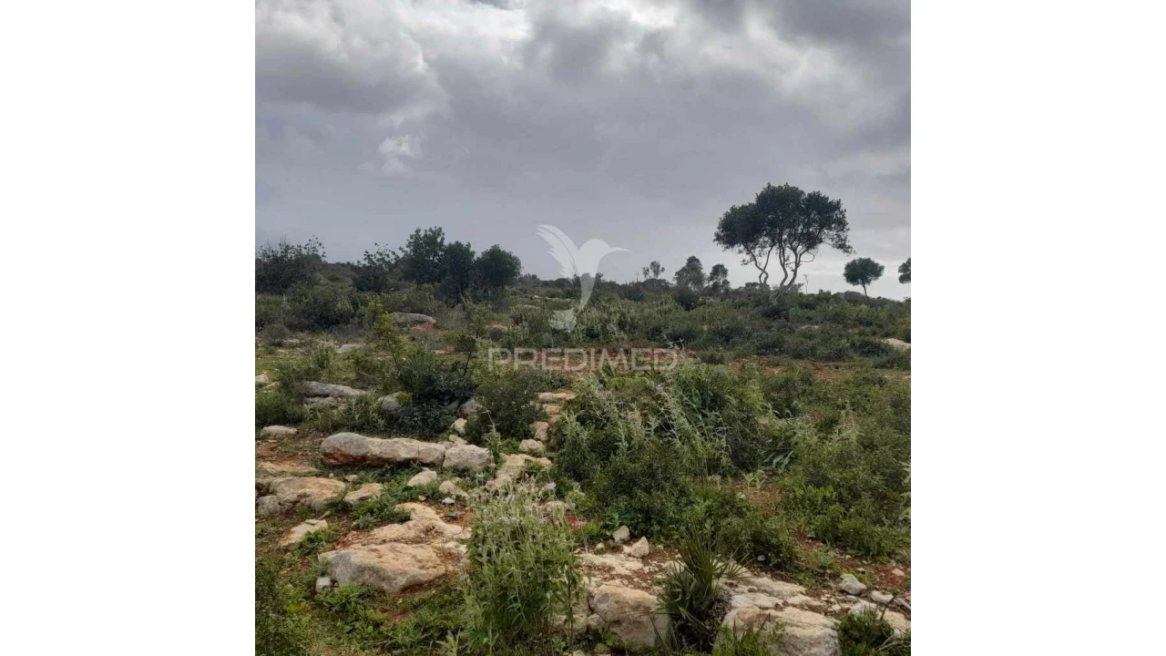 Terreno para Venda em Quelfes Foto 4