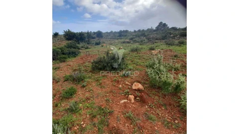 Terreno para Venda em Quelfes