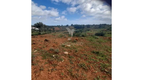 Terreno para Venda em Quelfes