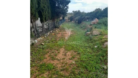 Terreno para Venda em Quelfes