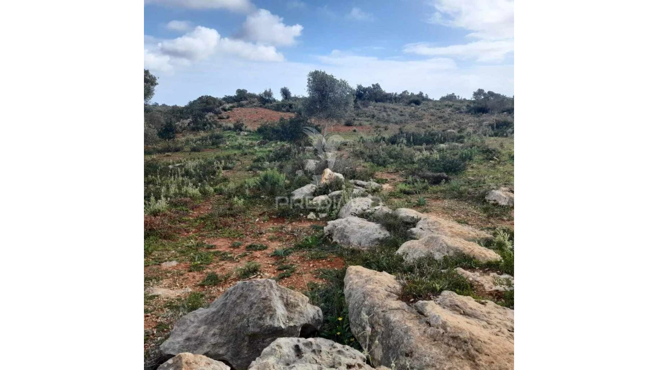 Terreno para Venda em Quelfes Foto 8