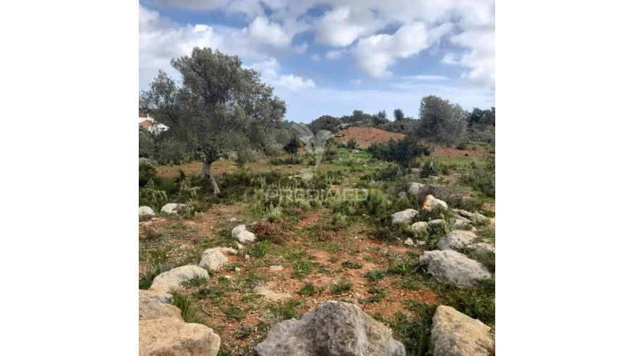 Terreno para Venda em Quelfes Foto 9