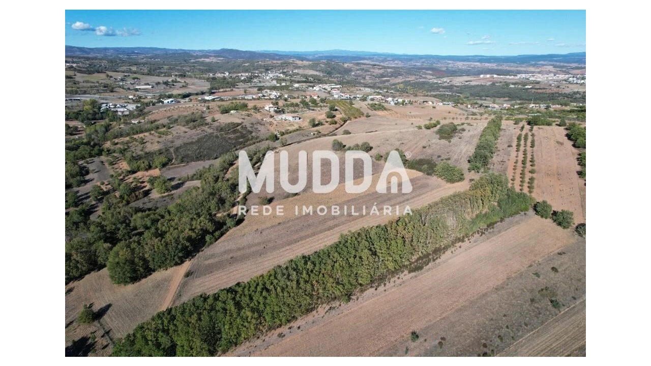 Terreno para Venda em Castro de Avelãs Foto 9