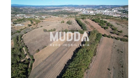 Terreno para Venda em Castro de Avelãs
