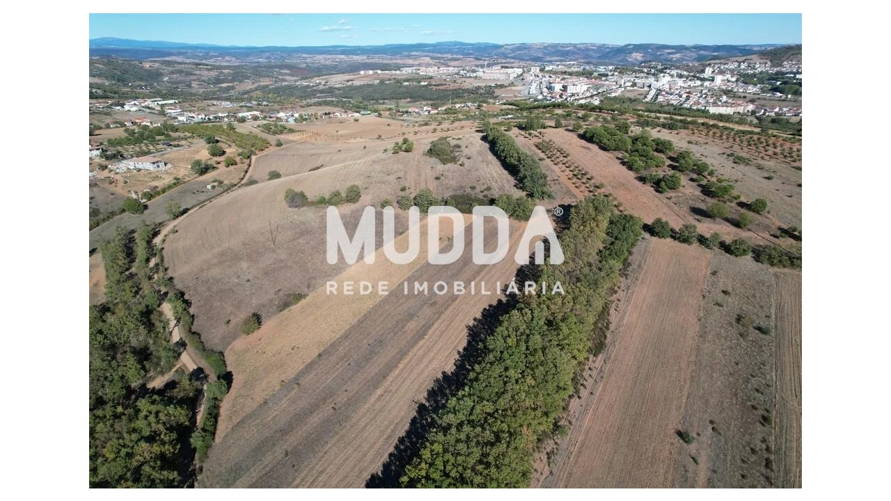 Terreno para Venda em Castro de Avelãs Foto 4