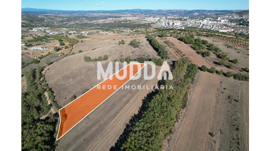 Terreno para Venda em Castro de Avelãs
