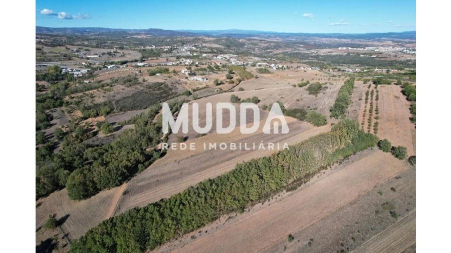Terreno para Venda em Castro de Avelãs Foto 5