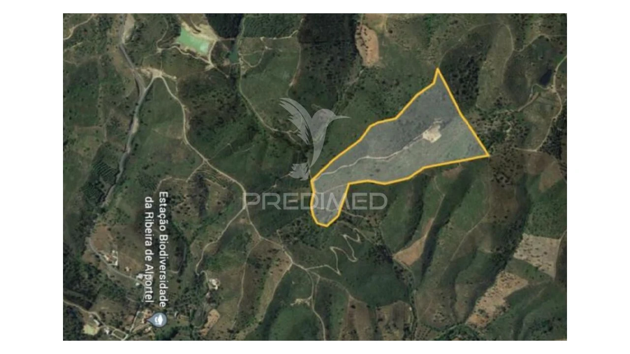 Terreno para Venda em São Brás de Alportel Foto 1