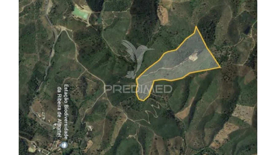 Terreno para Venda em São Brás de Alportel Foto 9