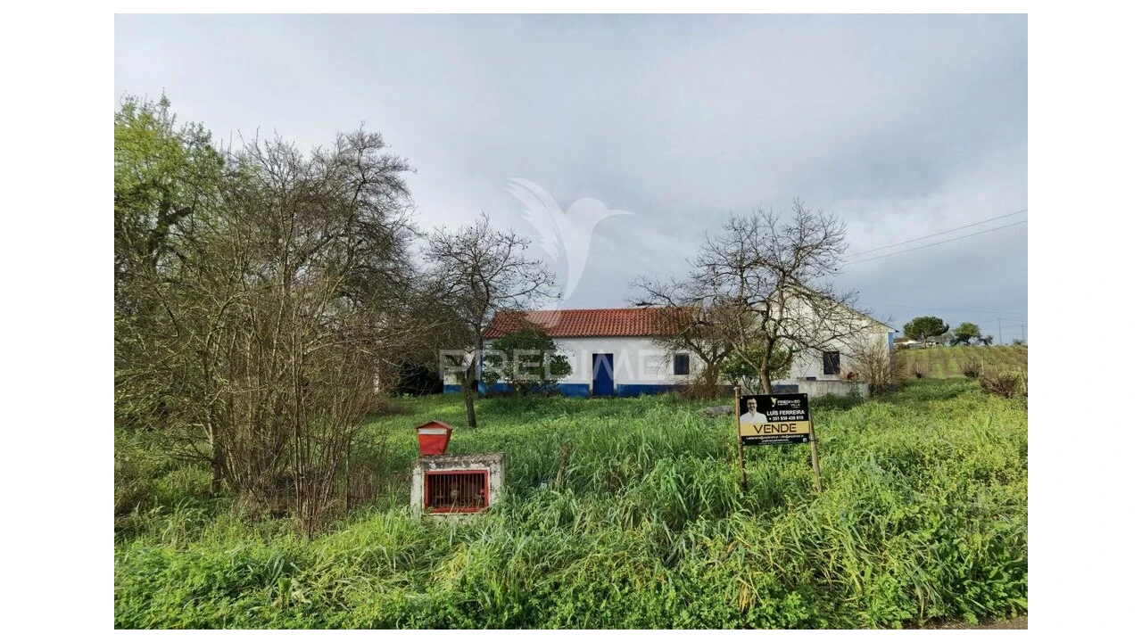 Quinta T3 para Venda em Casével e Vaqueiros Foto 10
