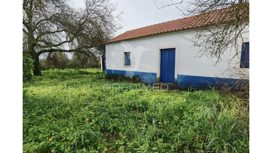 Quinta T3 para Venda em Casével e Vaqueiros Foto 7