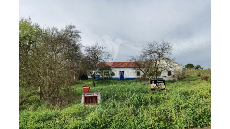 Quinta T3 para Venda em Casével e Vaqueiros Foto 10