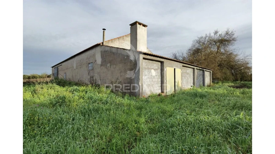 Quinta T3 para Venda em Casével e Vaqueiros Foto 4