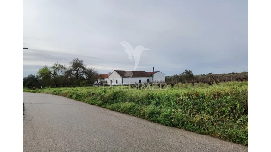 Quinta T3 para Venda em Casével e Vaqueiros Foto 8