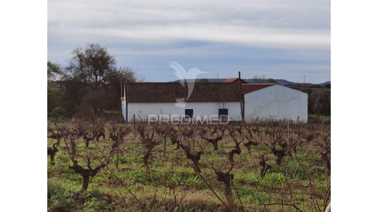 Quinta T3 para Venda em Casével e Vaqueiros Foto 2