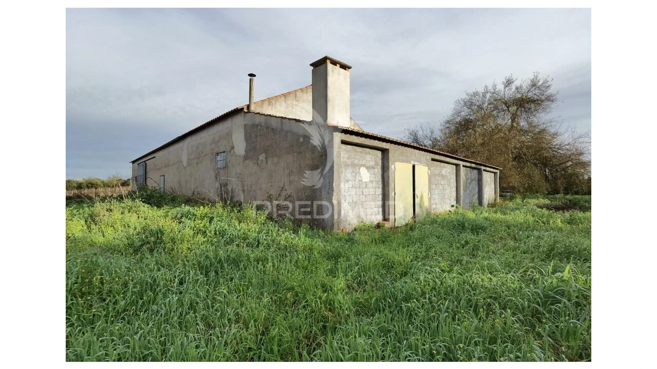 Quinta T3 para Venda em Casével e Vaqueiros Foto 4