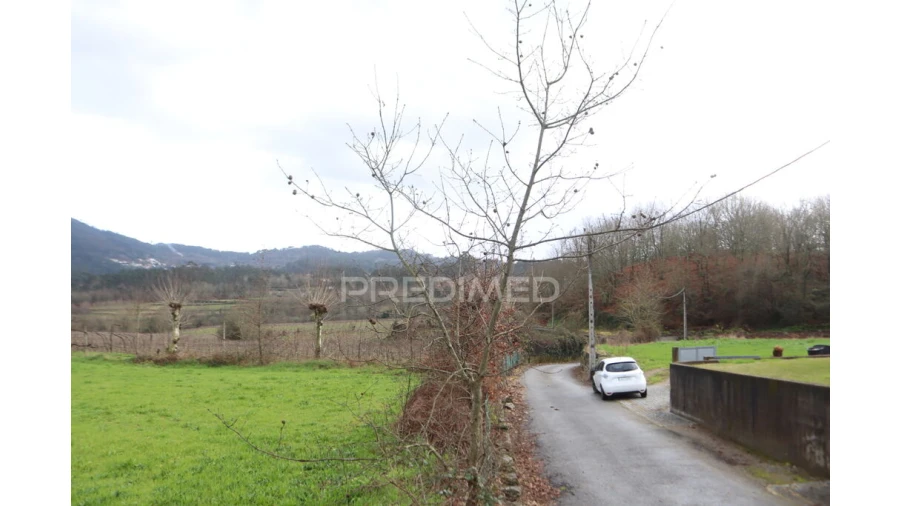 Terreno para Venda em Coucieiro Foto 5