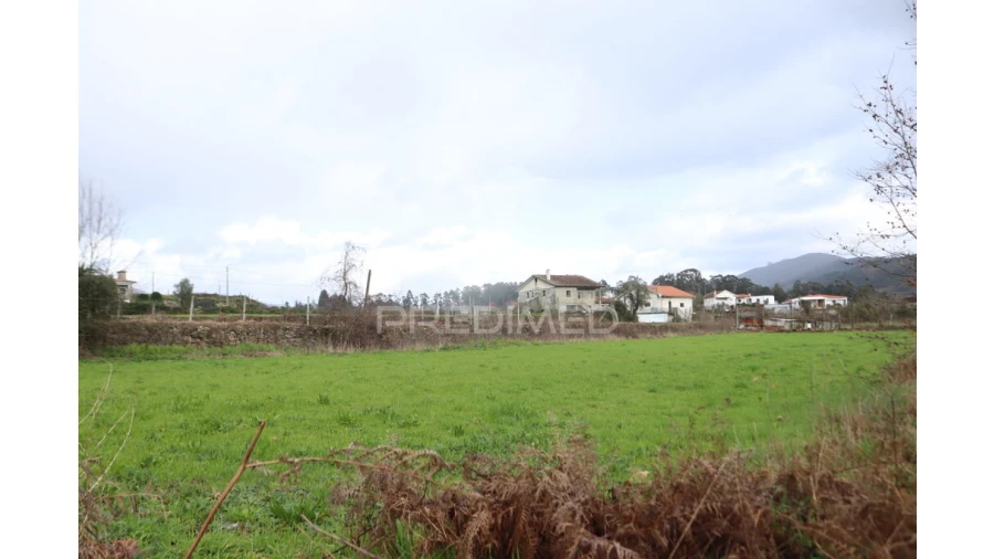 Terreno para Venda em Coucieiro Foto 10