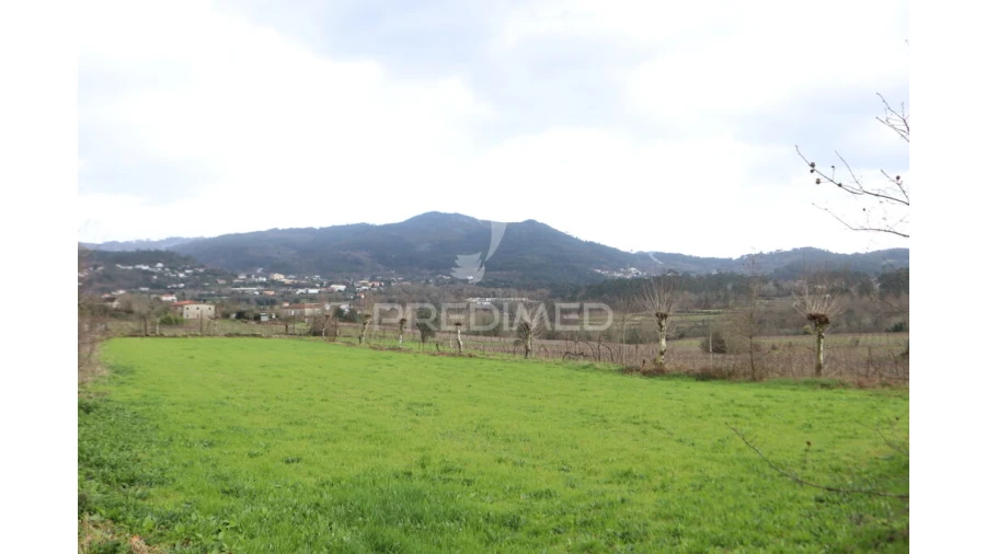 Terreno para Venda em Coucieiro Foto 4