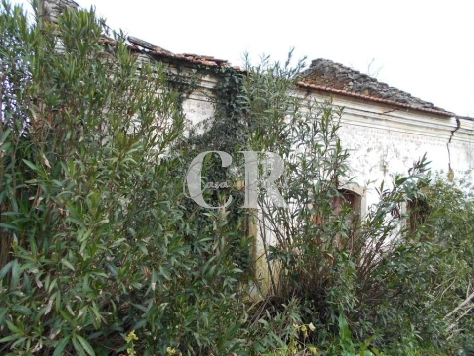 Moradia T2 para Venda em Nossa Senhora do Pranto Foto 5