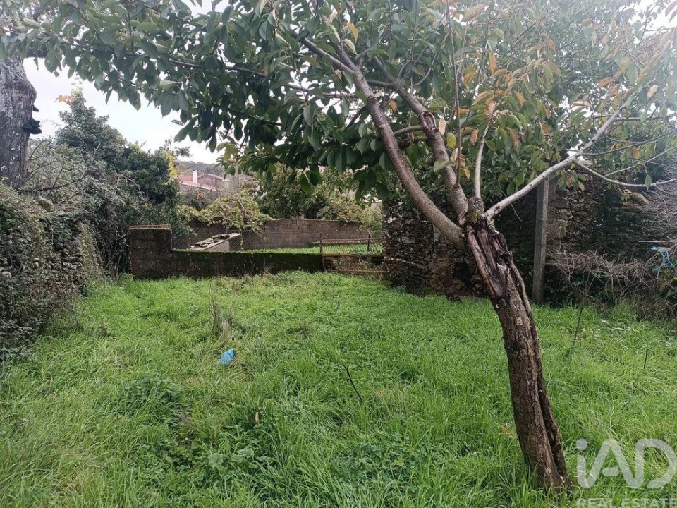 Moradia para Venda em Salsas Foto 8