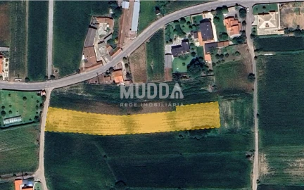 Terreno para Venda em Avanca