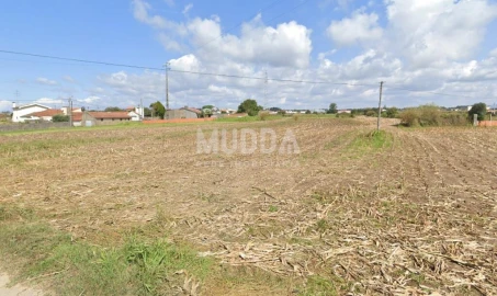 Terreno para Venda em Avanca