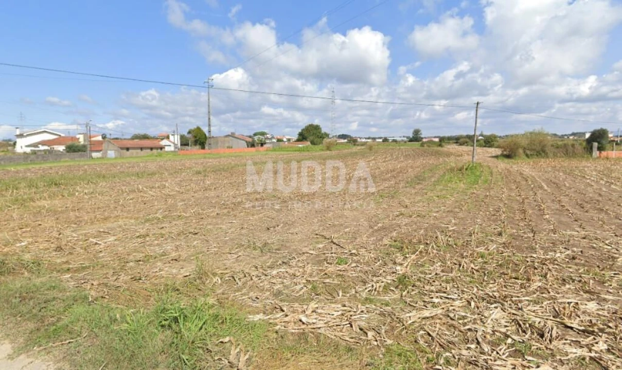 Terreno para Venda em Avanca Foto 2