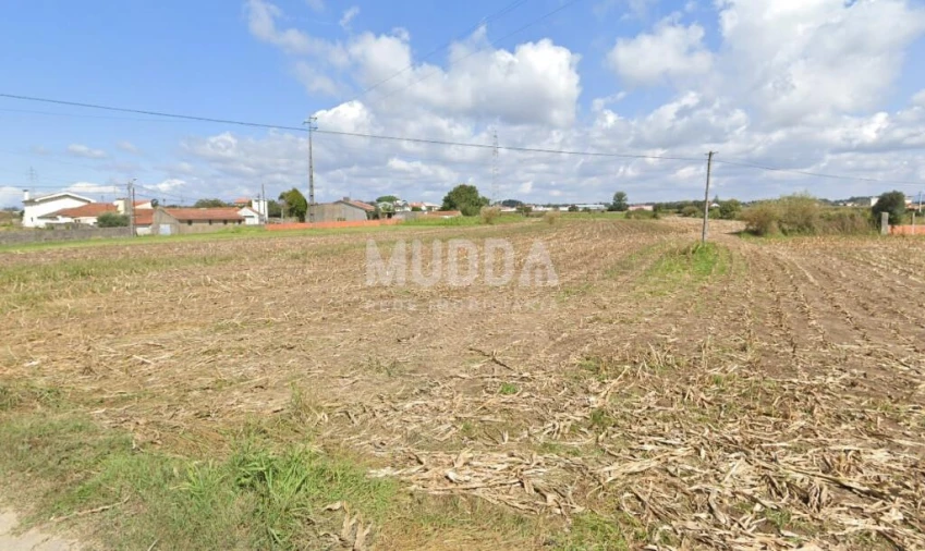 Terreno para Venda em Avanca Foto 2