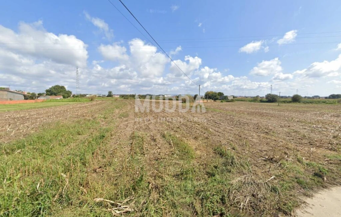 Terreno para Venda em Avanca Foto 3