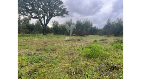 Terreno para Venda em Palmela