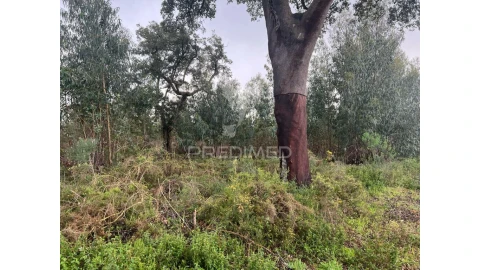 Terreno para Venda em Palmela