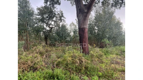 Terreno para Venda em Palmela