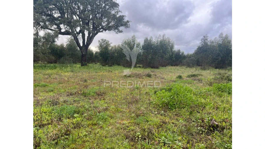 Terreno para Venda em Palmela