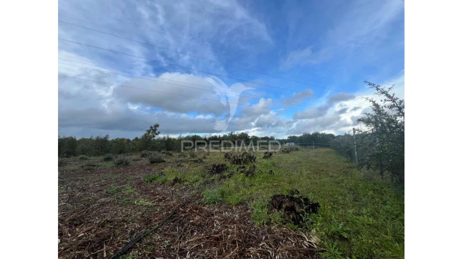 Terreno para Venda em Palmela Foto 3