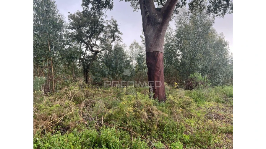 Terreno para Venda em Palmela Foto 2