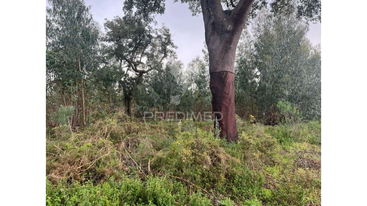 Terreno para Venda em Palmela Foto 6