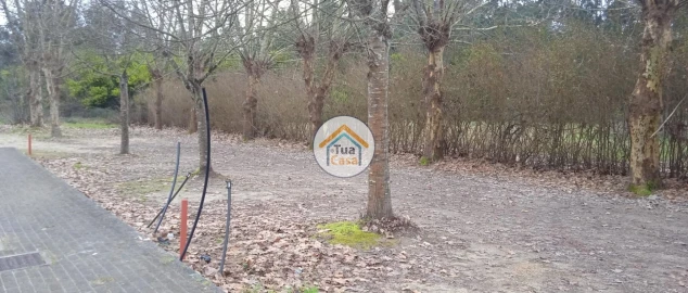 Terreno para Venda em Fonte de Angeão e Covão do Lobo