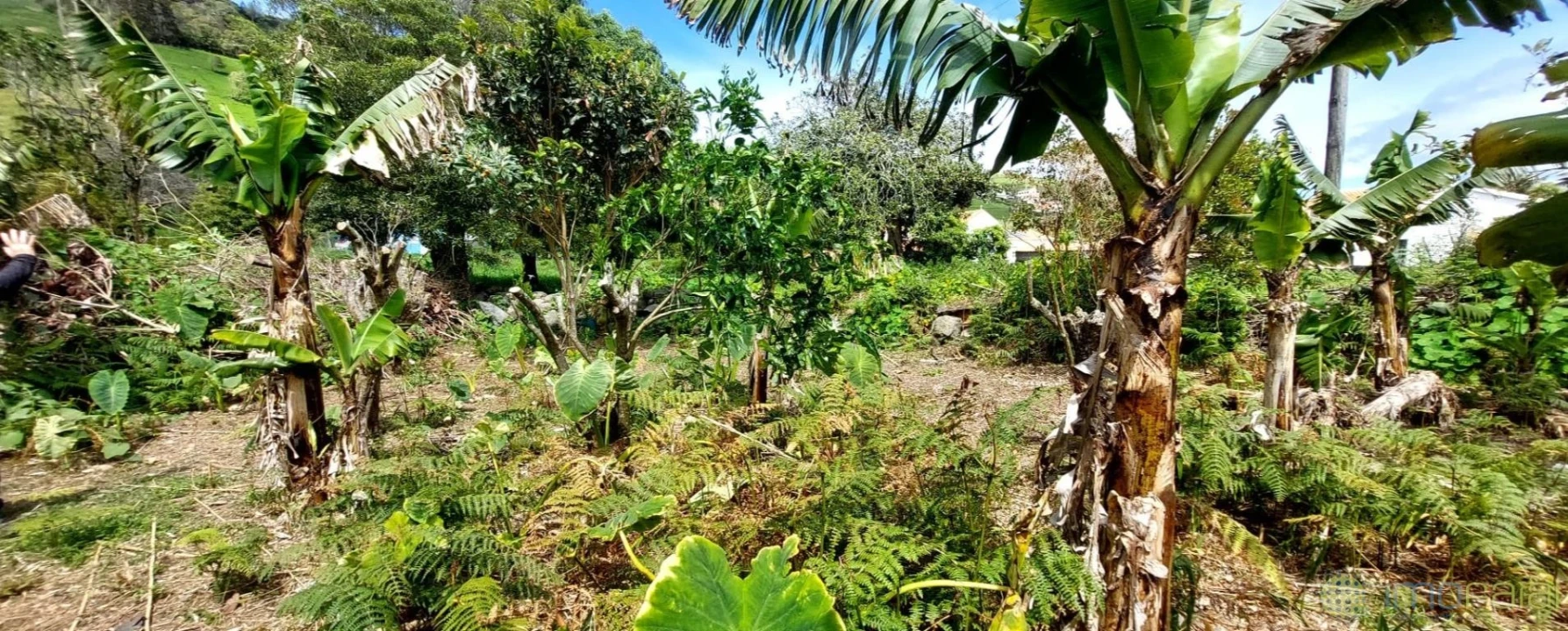 Moradia T3 para Venda em Flamengos Foto 43