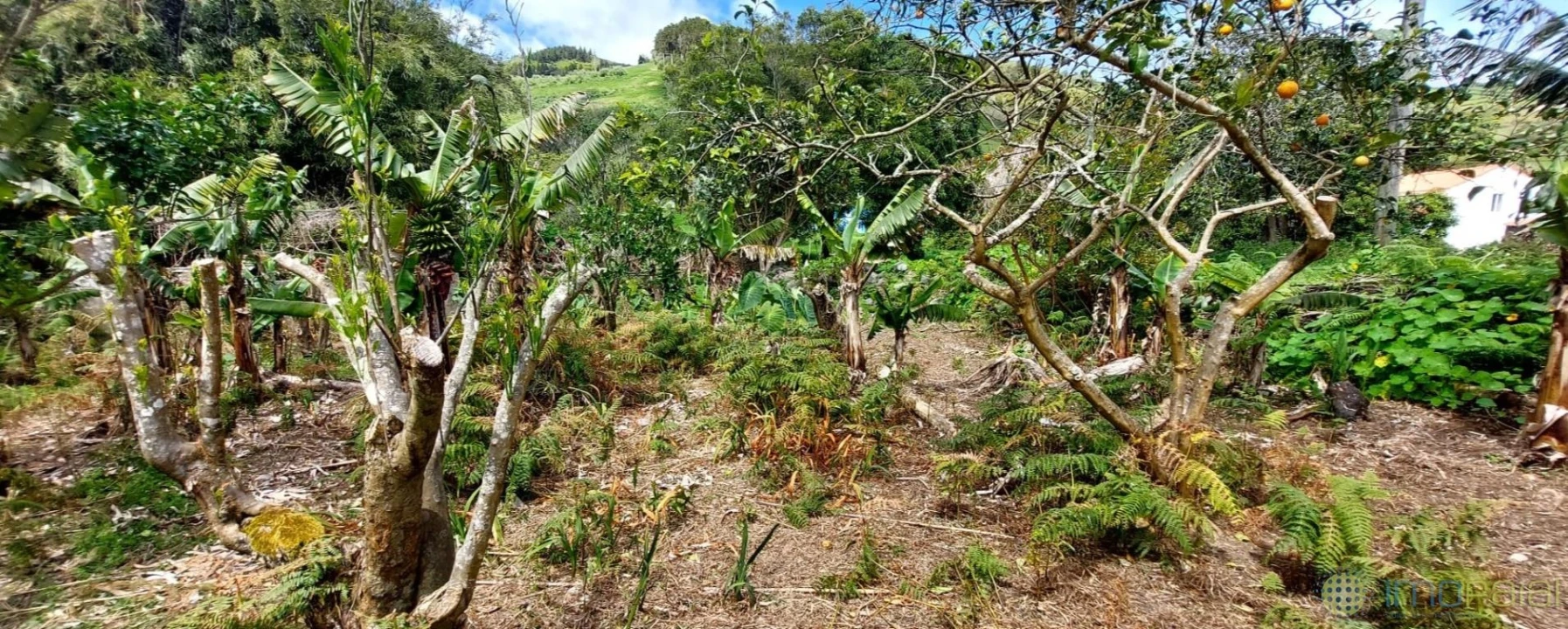 Moradia T3 para Venda em Flamengos Foto 39